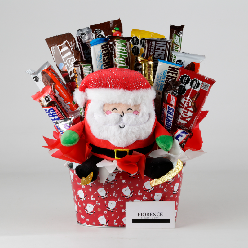 Santa’s Sweet Surprise