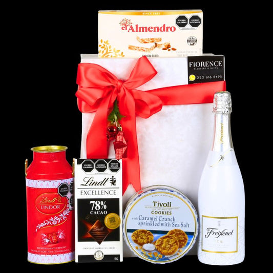 Christmas Gift with Sparkling White Wine and Chocolates