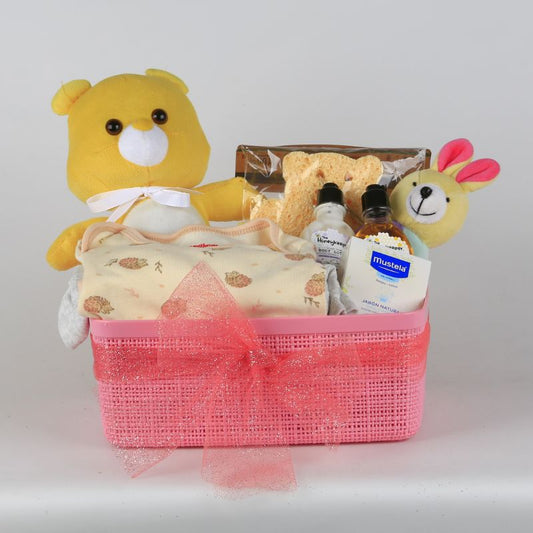 Sweet Welcome Basket - Gift for Baby Girl