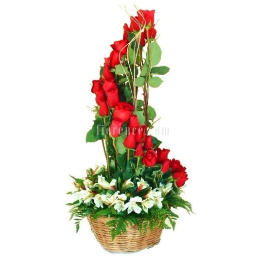 Spiral 24 roses classic arrangement 