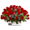 Special Arrangement with 50 roses and Gypsophila