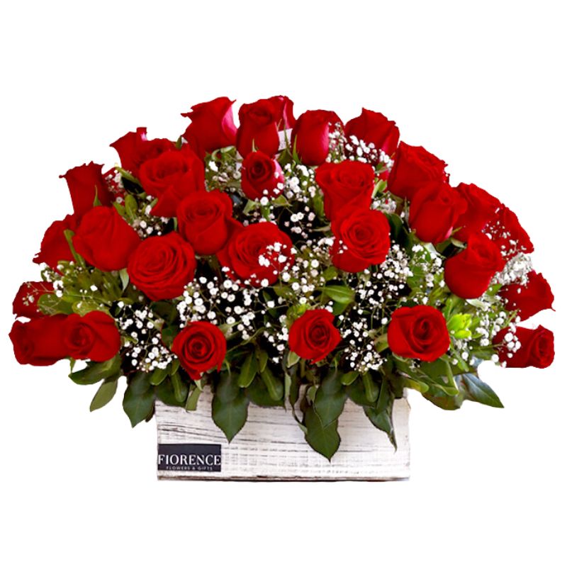 Special Arrangement with 50 roses and Gypsophila