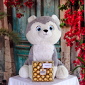 Cute Large Stuffed Husky Plush with Chocolates