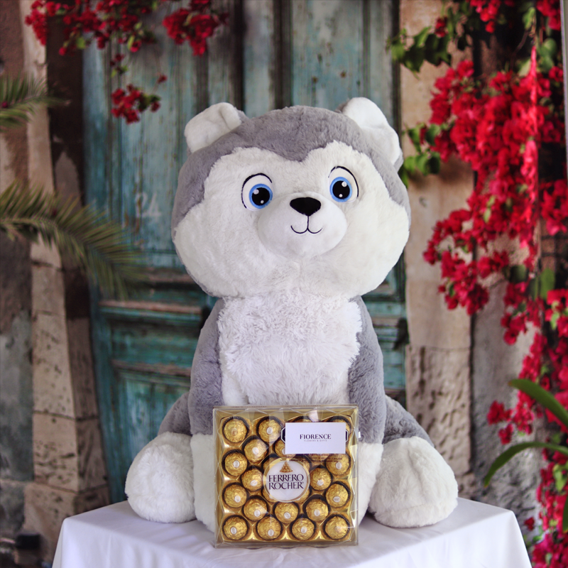 Cute Large Stuffed Husky Plush with Chocolates