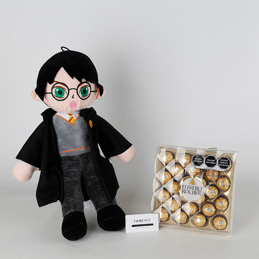 Harry Potter de Peluche con Chocolates